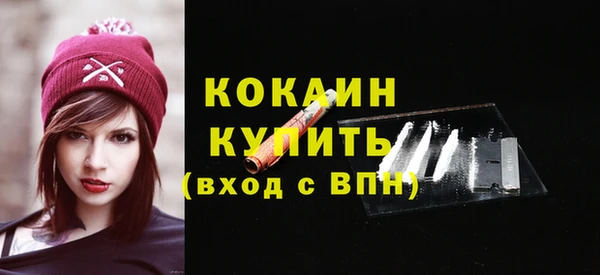 прущие грибы Архангельск