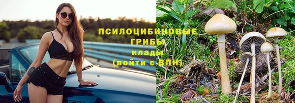 гидропоника Переславль-Залесский